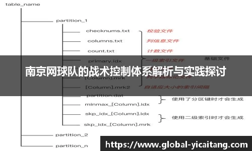 南京网球队的战术控制体系解析与实践探讨